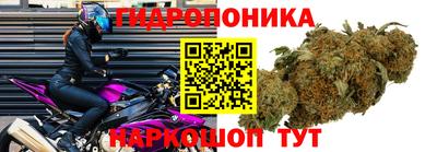 mdpv Татарск