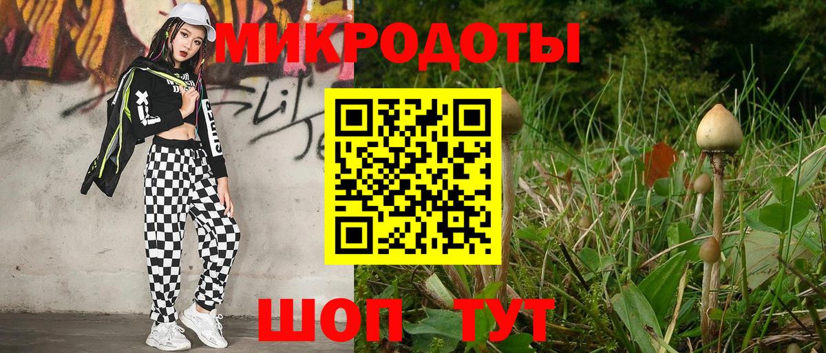 Псилоцибиновые грибы Psilocybine cubensis  Вход с VPN  Аргун 